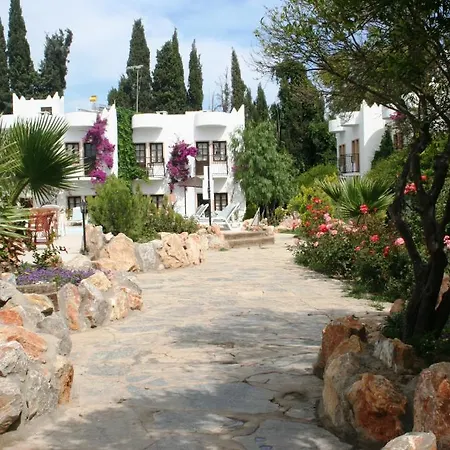 Hotel Safir 2*