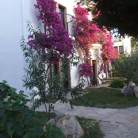 Safir Hotel