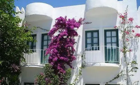 Hotel Safir 2*