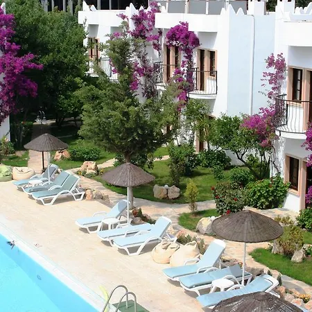 Hotel Safir