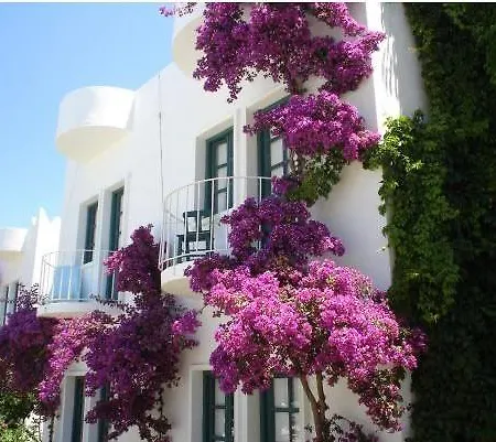 Hotel Safir 2*